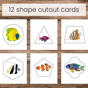 May include: Twelve printable cards featuring different shapes with a colorful fish inside each shape. The shapes include a circle, triangle, trapezoid, hexagon, pentagon, and a freeform shape.