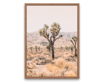 May include: A framed photograph of a desert landscape with a Joshua tree in the foreground. The Joshua tree is tall and slender with multiple branches. The background is a hazy, light brown color with a mountain range in the distance.