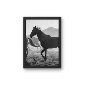 Horses Photography Print, DIGITAL Rustic Farmhouse Large Wall Art, Modern Farmhouse Decor, Black and White Animals Print, Wild Horses Poster