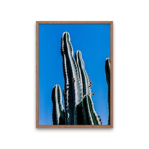 Cactus Photography Print, DIGITAL Farmhouse Large Wall Art, Modern Farmhouse Decor, Blue Saguaro Cactus Print, Cactus Poster