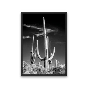 Black & White Saguaro Photography Print, DIGITAL Rustic Farmhouse Large Wall Art, Modern Farmhouse Decor, Cactus Print, Desert Poster