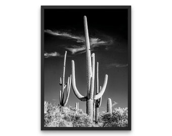 Schwarz / weiß Saguaro Kaktus Druck, rustikale Bauernhaus Wandkunst (digitaler Download)