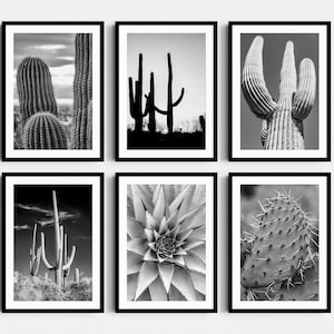 Cactus Wall Art, Black and White Art, Set of 6 Digital Prints, Cactus Wall Set, Large Wall Art, Desert Photography