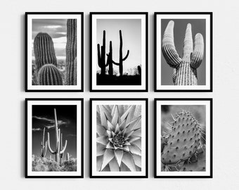 May include: A set of six black and white framed photographs featuring various types of cacti. The photos are arranged in a grid pattern on a white wall.