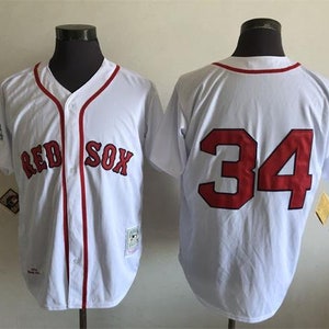 Men's Majestic Boston Red Sox #34 David Ortiz Authentic Green Cool