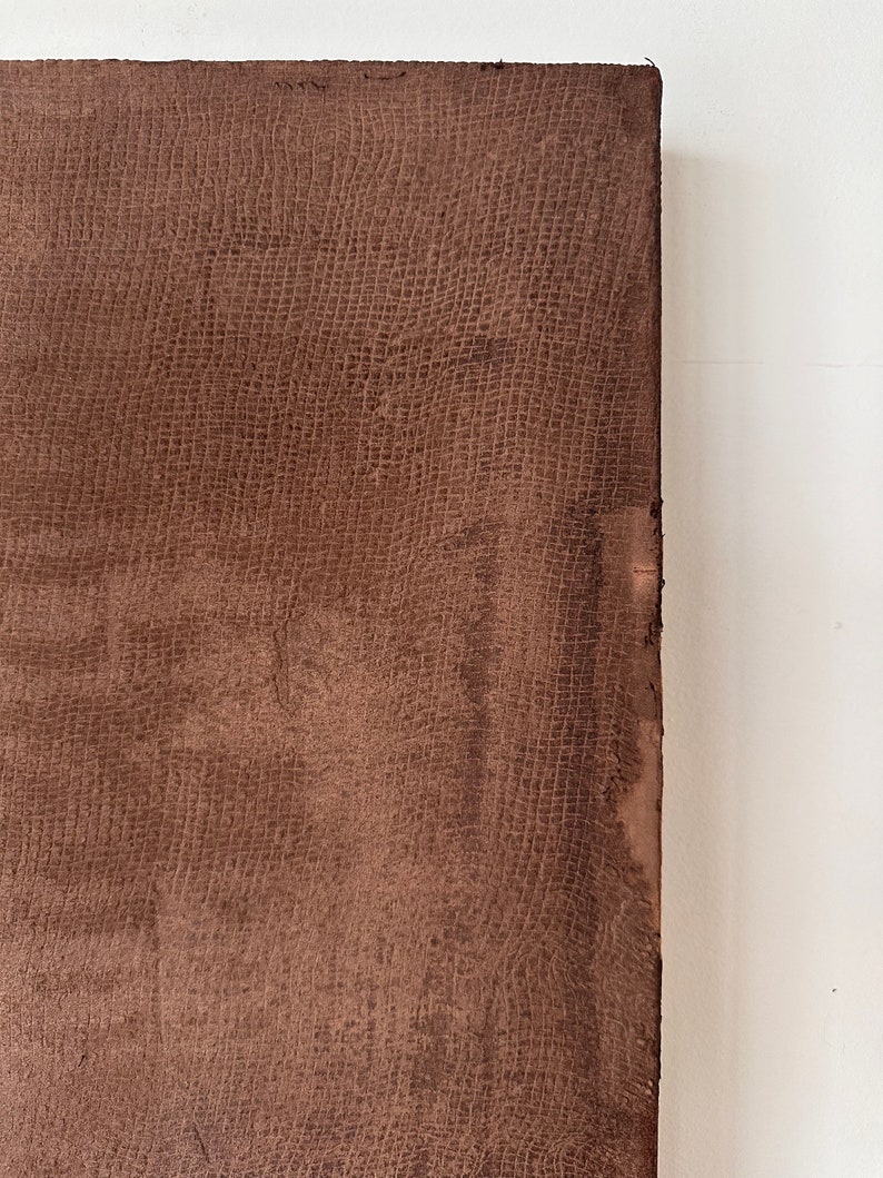 May include: A close-up of a brown textured surface. The surface has a grid-like pattern.