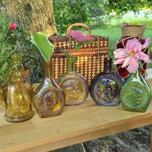 May include: A collection of five glass bottles in various colors including amber, green, and dark brown. Each bottle features a molded relief portrait of a historical figure on the front. The bottles are arranged on a wooden surface.