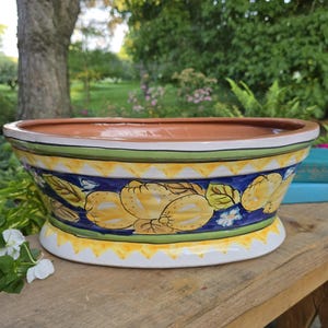 May include: An oval ceramic planter featuring a hand-painted design of yellow lemons and green leaves against a deep blue background. The rim and base are decorated with yellow and white triangular patterns, and the interior is a smooth terracotta.