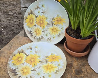 Vintage 9 1/2 inches Daisy Melamine Plates, Pair