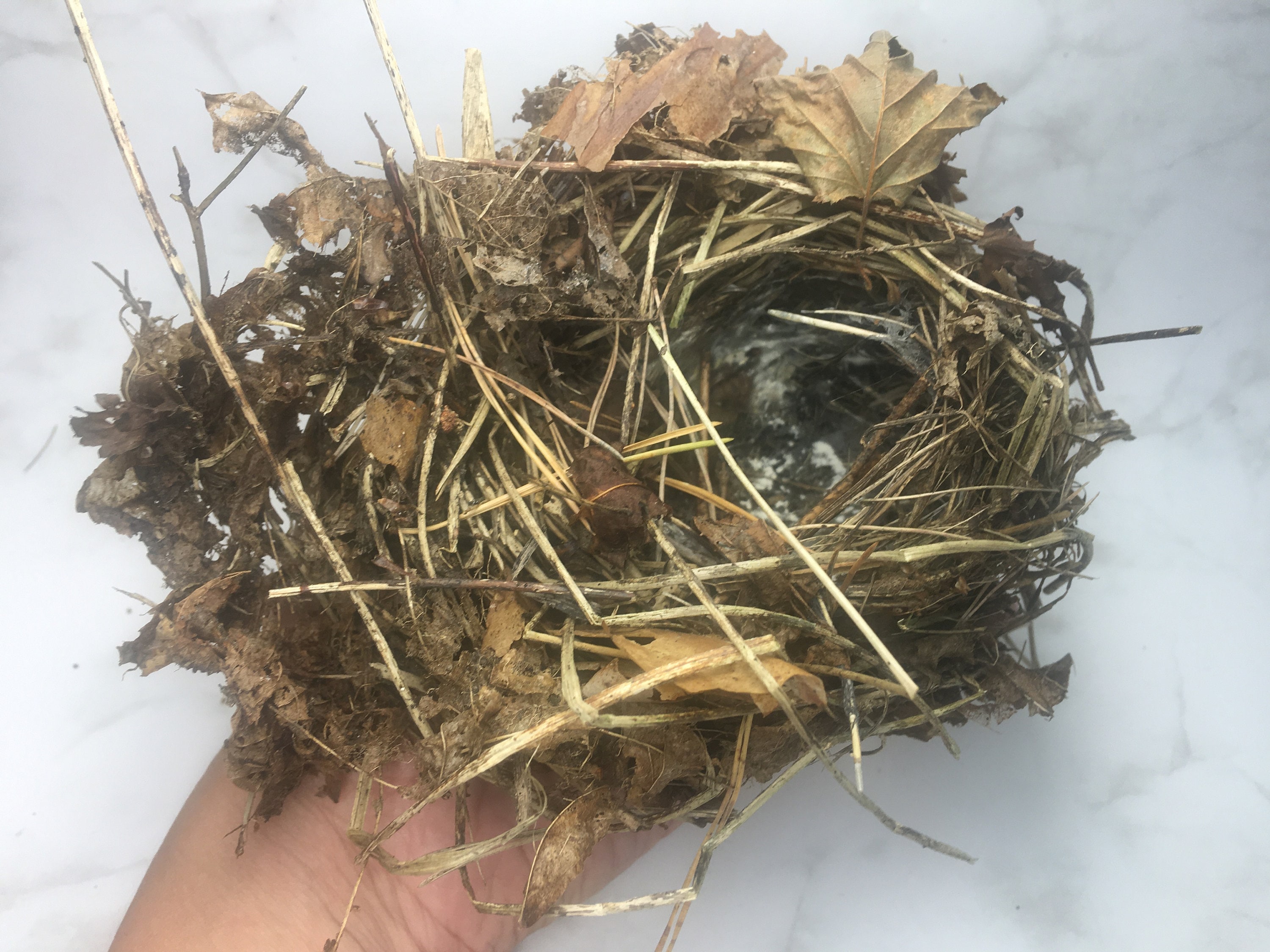 Nid d'oiseaux tissé à la main pour jardin, maison de colibri en roseau  naturel, extérieur