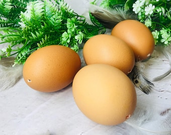 Conjunto de 4 itens para cesta de Páscoa: ovos de galinha coloridos, soprados e lavados, decoração de galhos de primavera para o jardim, ideias de Páscoa para crianças, faça você mesmo.