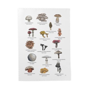 Kitchen Tea Towel Mushroom Chart Print