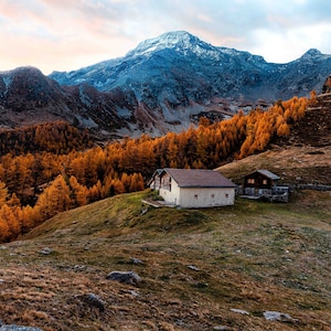 Swiss Alp/Autumn/Fall