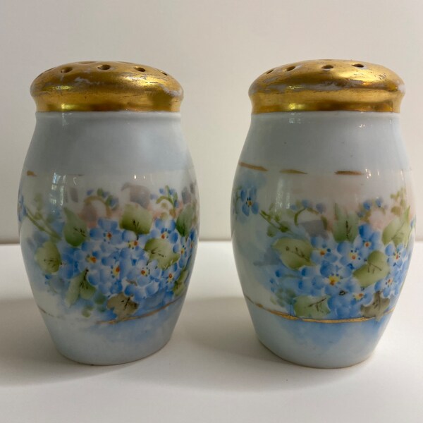 Porcelain Bavarian Salt and Pepper Shakers with Delicate Blue Flowers and Gold Tops