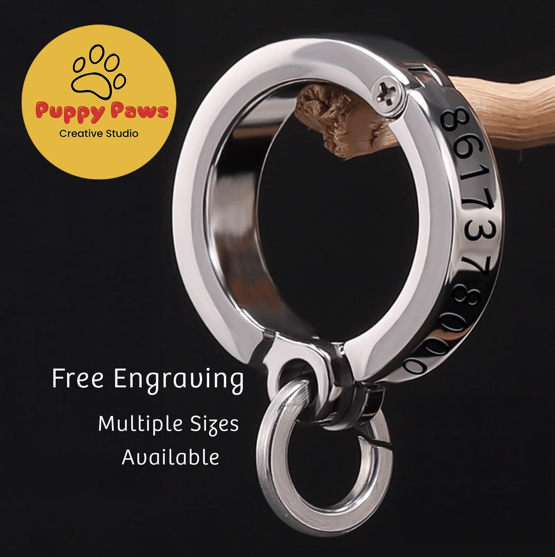Stainless Steel Custom Engraved Parrot Leg Band – Personalized ...
