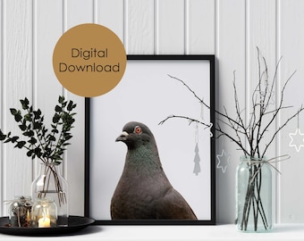 May include: A black and white printable art print featuring a pigeon with a Christmas tree bauble hanging from a branch above it.