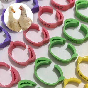 Puede incluir: Una colección de anillas de plástico de colores para patas de aves, en tonos rosa, verde, amarillo y morado. Cada anilla tiene un mecanismo de cierre dentado y está impresa con números negros, incluyendo 022, 042, 043 y 041.