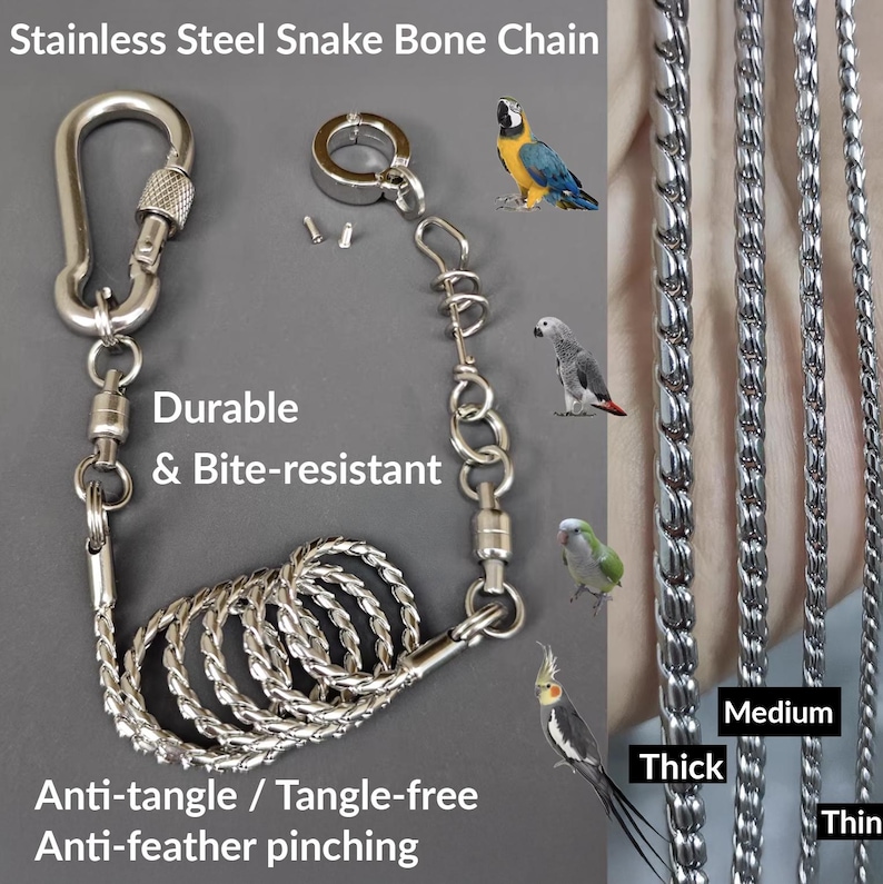 Stainless Steel Custom Engraved Parrot Leg Band – Personalized ...