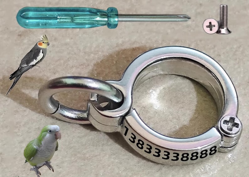 Stainless Steel Custom Engraved Parrot Leg Band – Personalized ...