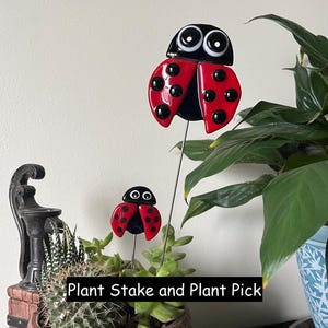 May include: Two ladybug plant stakes and plant picks. The ladybugs have red wings with black spots, black bodies, and large white-eyed faces. The text "Plant Stake and Plant Pick" is at the bottom of the image.