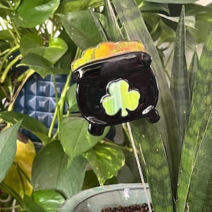 May include: A black pot of gold plant stake with a green shamrock design. The top of the pot is filled with gold-colored material. The stake is inserted into a potted plant with green leaves.
