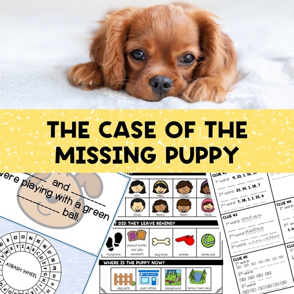 Mystery Party Game for Kids, The Case of the Missing Puppy, Secret Agent Party, Detective Party, Escape Room for Kids, Printable Party Props