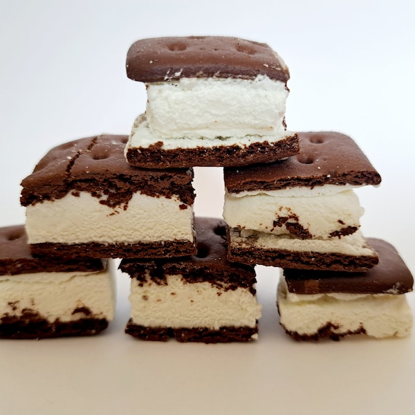 Freeze Dried Ice Cream Sandwich Bites Etsy