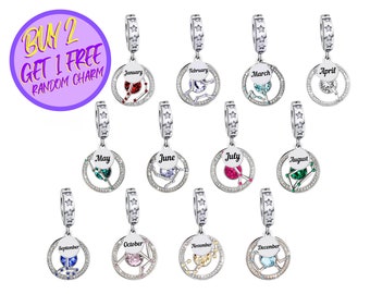 Birthstone Charms For Bracelet, Birthday Zodiac Charms, Zodiac Charms, Birthstone Zodiac Charms, Birthday Gift For Her,Sterling Silver Charm