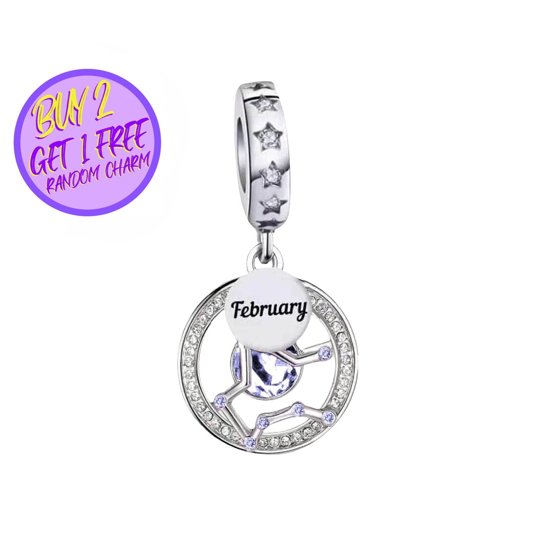 February Birthstone Charm main image 0