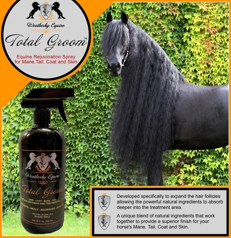 Total Groom Mane & Tail Equine Spray Etsy