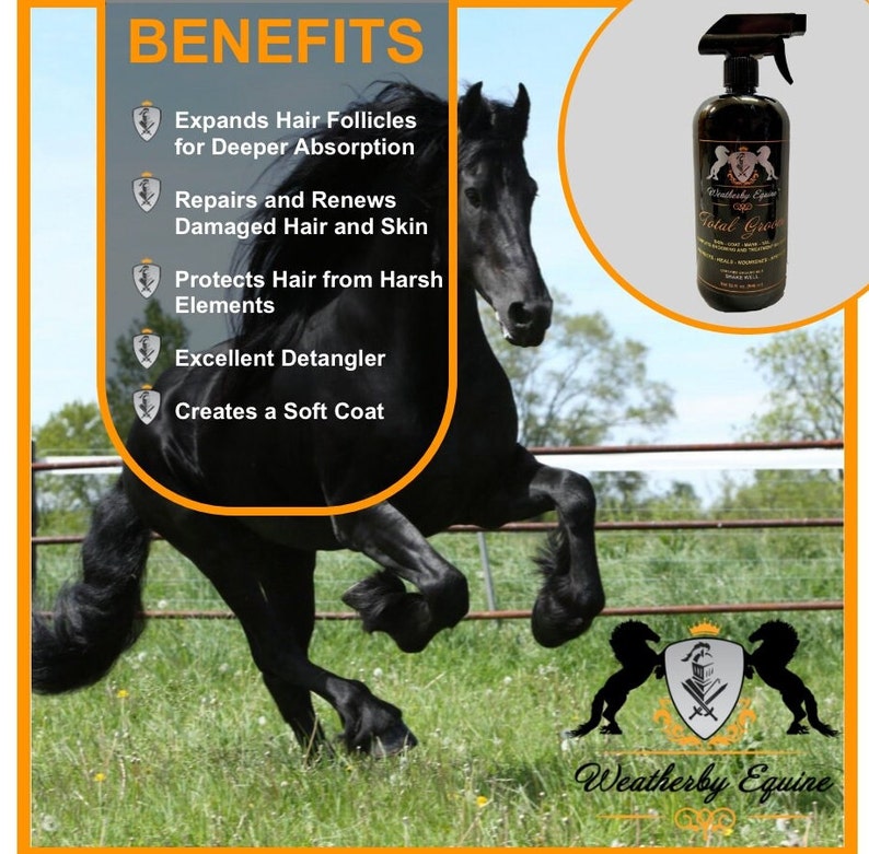Total Groom Mane & Tail Equine Spray Etsy