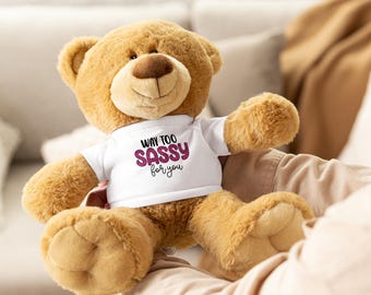 Sassy Teddy bear with a t-shirt