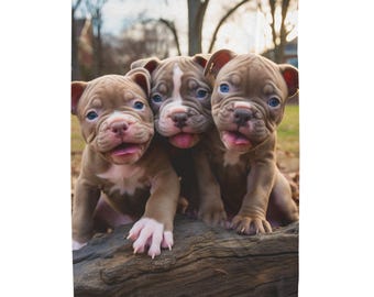Pit Bull Puppies Velveteen Plush Blanket | Playful Puppy Pattern, Soft Warmth