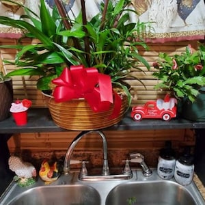 Kitchen Sink Shelf Planter, Indoor Planter, Over the Sink, Space Saver, Herb Garden, Housewar…