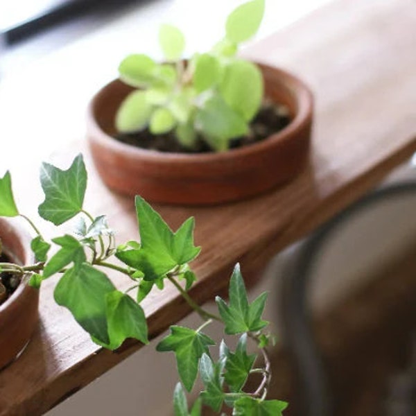Over the Sink Shelf Etsy