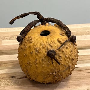 Vintage Fulani drinking or storage gourd with leather handle