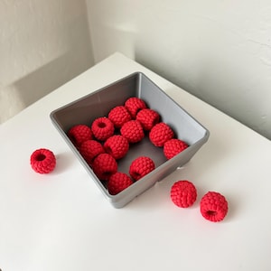 May include: A square gray plastic container filled with multiple small, textured red raspberry-shaped objects. Three additional red raspberry-shaped objects are positioned outside the container on the surface, separate from the main group.