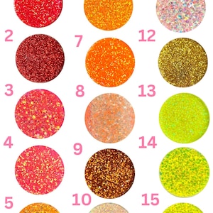 Pu&ograve; includere: Una tabella colori di opzioni glitter fini e mini chunky. Quindici campioni circolari mostrano vari colori glitter, tra cui rosso, arancione, oro, rosa e verde. Ogni campione &egrave; numerato per una facile consultazione, con il testo "Fine/Mini Chunky Glitter Options 1.5" in alto.
