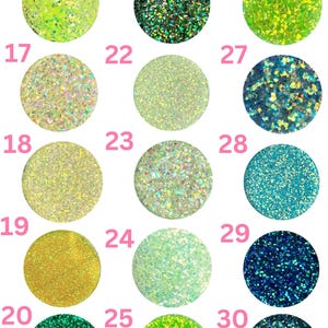 Pu&ograve; includere: Immagine che mostra una variet&agrave; di opzioni di glitter fini e grossi in una gamma di colori. L'immagine presenta 15 campioni circolari, ognuno con un colore glitter unico, tra cui tonalit&agrave; di verde, oro, blu e iridescente. Il testo "Fine/Mini Chunky Glitter Options 2.5" &egrave; in alto.