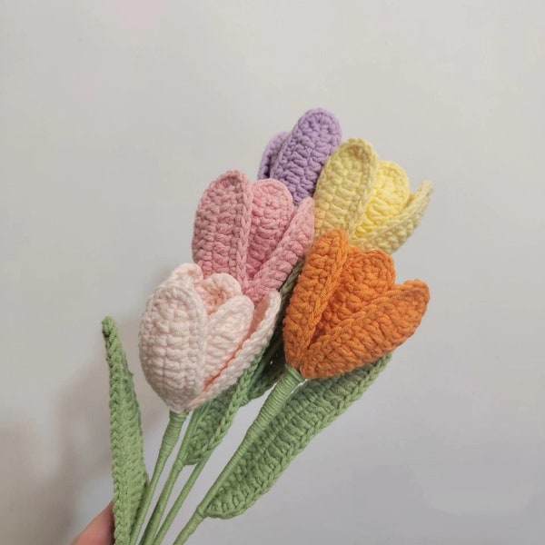 Crochet Tulipe (5PCS)