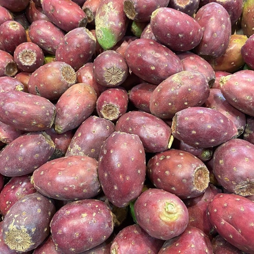 Fresh Cactus Pear 8 Fruit Prickly Pear the Actual Fruit Etsy