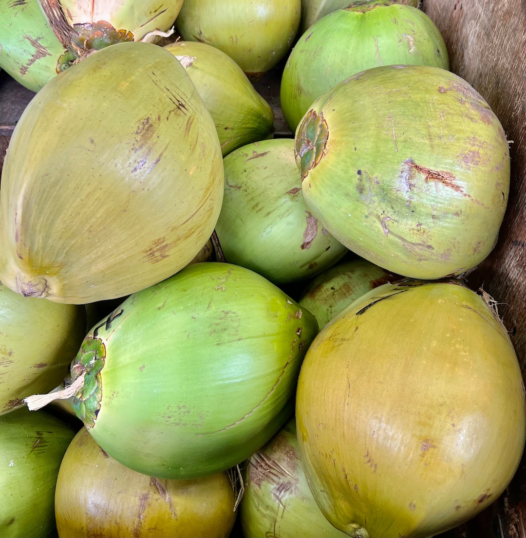 Noix de coco verte 4 boîte Noix de coco fraîche biologique / Etsy France