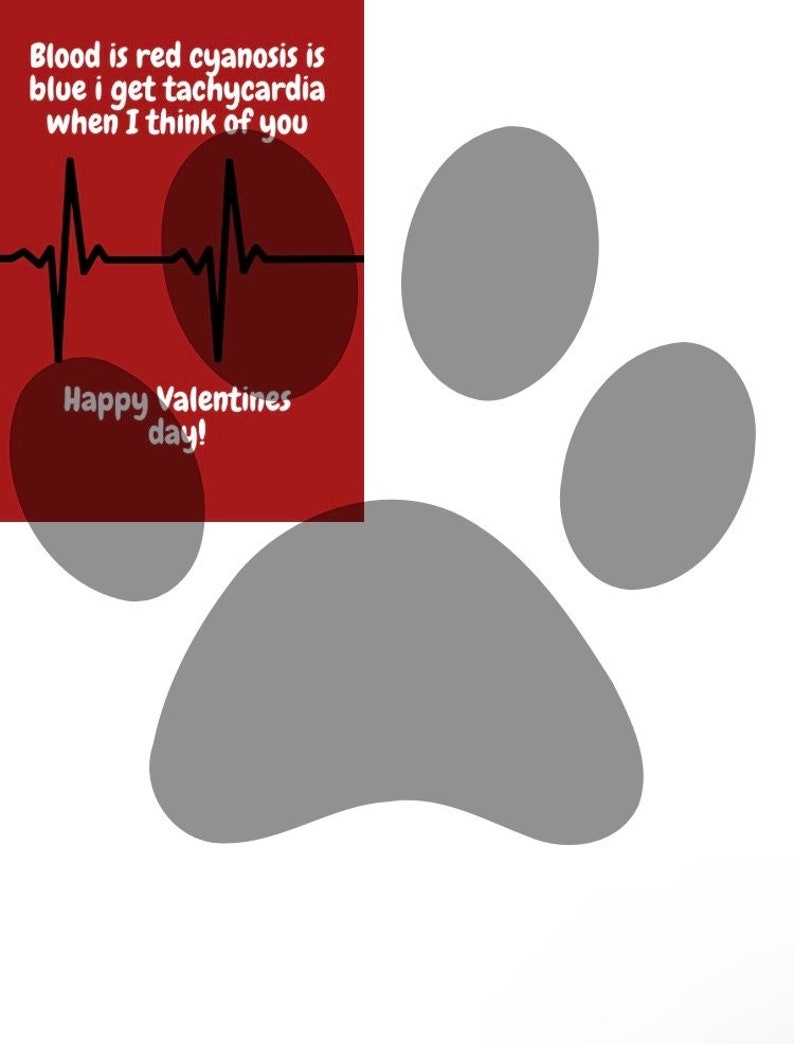 May include: A red and white Valentine's Day card with a heartbeat graphic and the text "Blood is red cyanosis is blue i get tachycardia when I think of you" and "Happy Valentines day!" A gray paw print is in the background.