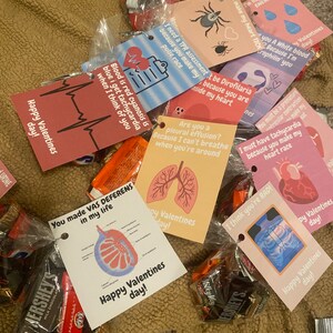 May include: A collection of Valentine's Day cards with anatomical illustrations and puns. The cards are packaged with small chocolate bars. The cards include phrases like "You made vas deferens in my life" and "I need a TPR assessment because you make my pulse race".