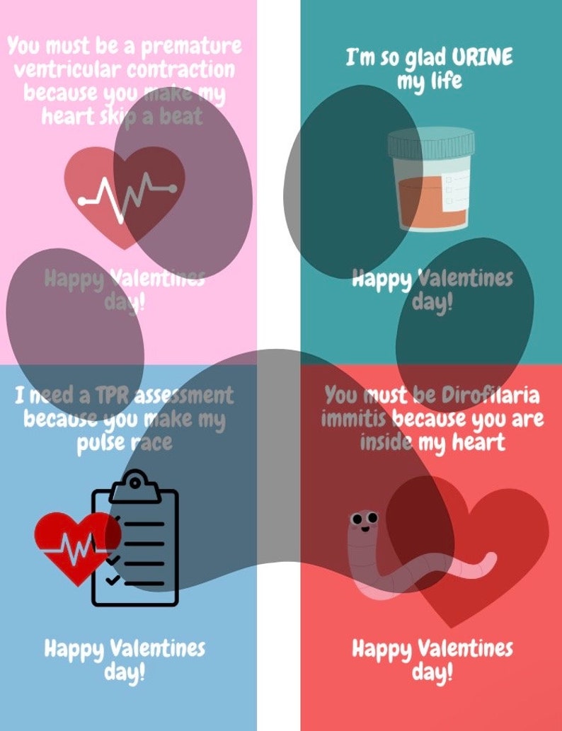 May include: Four Valentine's Day cards with medical puns. The first card is pink with a red heart and EKG line. The text reads "You must be a premature ventricular contraction because you make my heart skip a beat." The second card is teal with a urine sample cup. The text reads "I'm so glad URINE my life." The third card is blue with a red heart and a clipboard with check marks. The text reads "I need a TPR assessment because you make my pulse race." The fourth card is red with a worm and a red heart. The text reads "You must be Dirofilaria immitis because you are inside my heart."