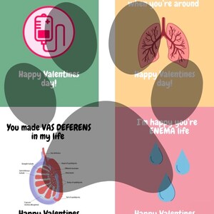 May include: Four Valentine's Day cards with humorous medical-themed messages. The first card features an IV bag and says "You're as sweet as 5% Dextrose". The second card features a pair of lungs and says "Are you a pleural effusion? Because I can't breathe when you're around". The third card features a diagram of the vas deferens and says "You made VAS DEFERENS in my life". The fourth card features three blue teardrops and says "I'm happy you're ENEMA life".