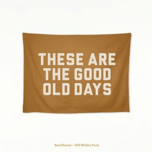 These Are The Good Old Days Wall Banner, Kids Flag Banner, Kids Room Decor, Retro Kids Decor, Vintage Decor, Wall Hanging, Multiple Colors