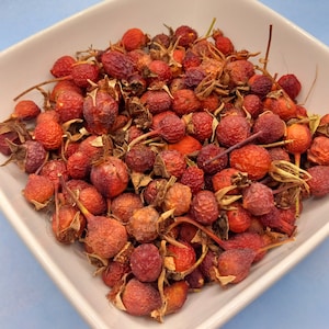 Wild Rose Hips, Rose Fruit, Wild Foraged, Pagan Herbs, Apothecary, Spells, Wiccan, Hoodoo, Brujeria, Witch, Witch Herbs, Folk Remedies
