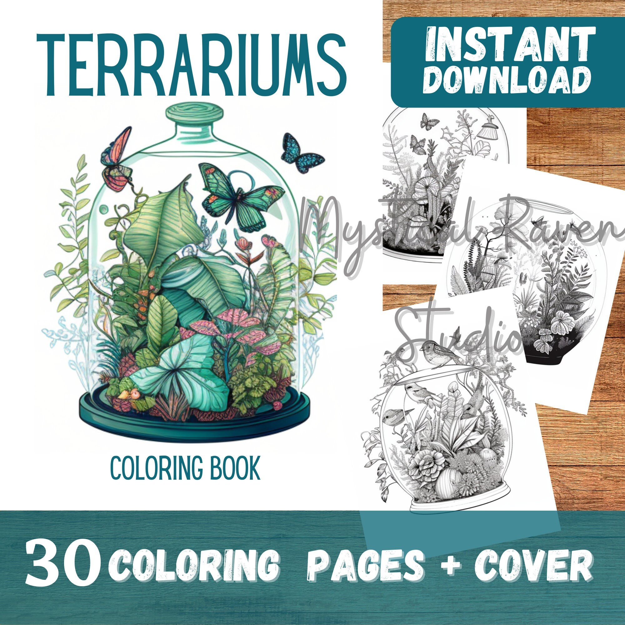30 Terrarium Coloring Pages, Adults Kids Download Grayscale Coloring