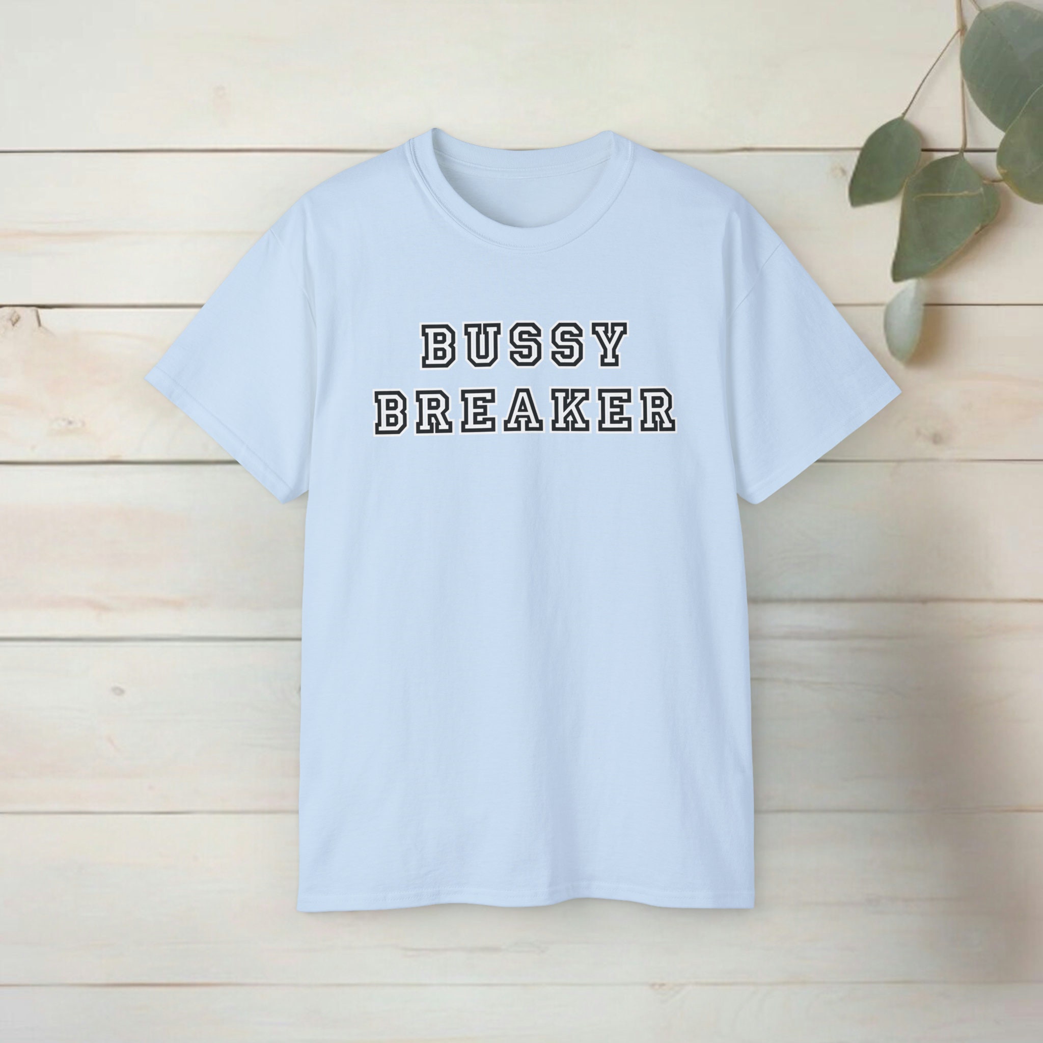 Bussy breaker